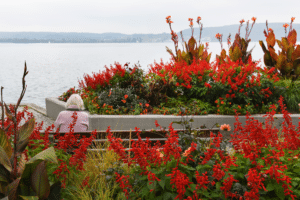 Landschaftsarchitektur, Text, Garten+Landschaft, Journalismus: Die Landesgartenschau Überlingen – eine der beiden ersten LGS am Bodensee – ging im Oktober zu Ende. Relais Landschaftsarchitekten aus Berlin gestalteten dafür sowohl die Uferpromenade als auch den Uferpark. Erstere überzeugt durch ihre selbstbewusste Urbanität, Letzterer besticht durch seine Mischung von Bürger*innenpark und naturnaher Ufergestaltung. Beide sind miteinander verbunden – unter anderem durch die Wahl der Sitzbank. Denn Sitzgelegenheiten haben die Planer*innen von relais von Anfang an mitgedacht.